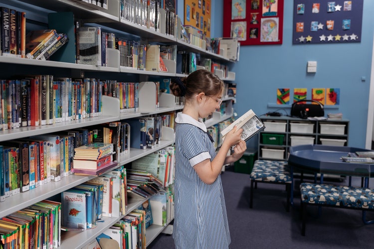 Image of a student standing in front of a library wall, reading books