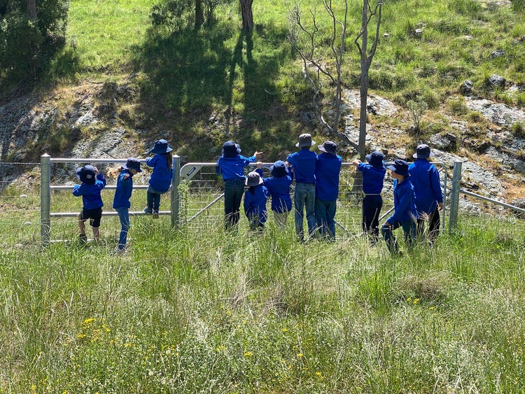 Image of eleven students with their backs turned to the camera, standing and climbing over a farm gate