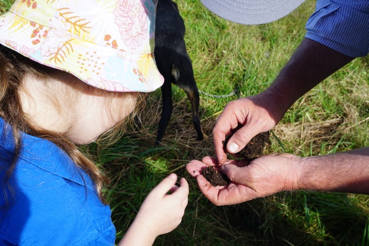 Image of a student looking at a sample of soil in an adults hands